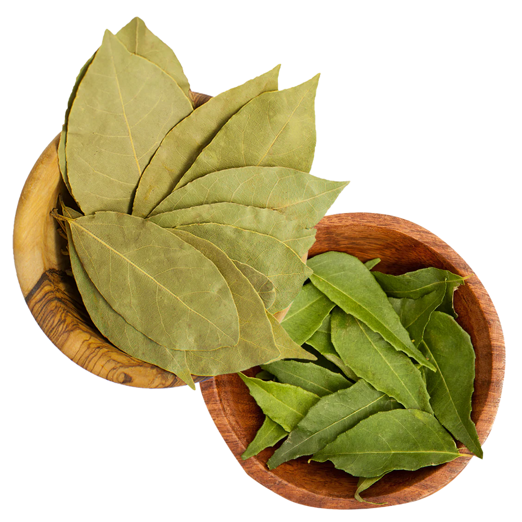 HERBS