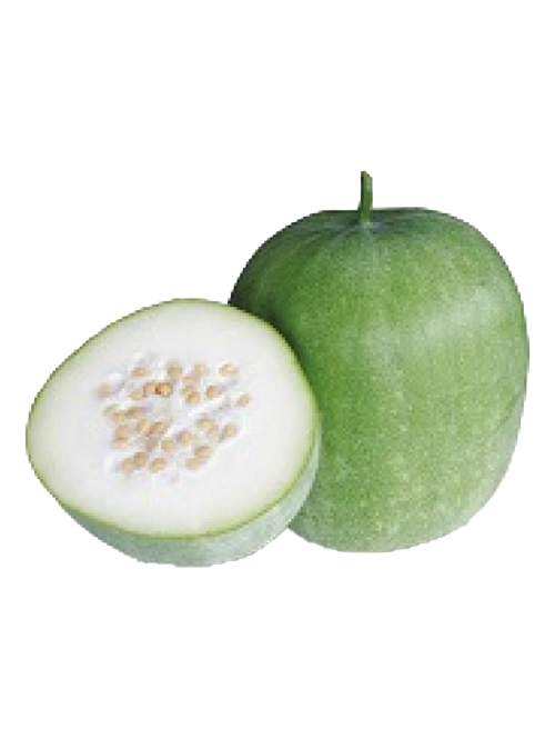 FRESH ASH GOURD (WHITE PUMPKIN) VEGETABLES - G-Spice