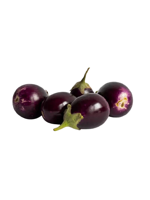 FRESH BABY BRINJAL