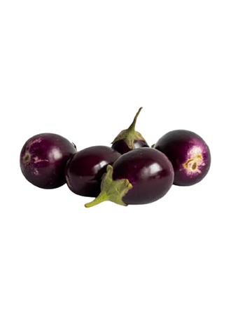 FRESH BABY BRINJAL