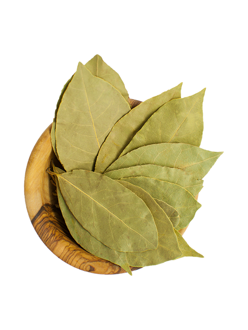 BAY LEAVES