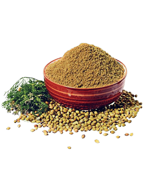 CORIANDER POWDER g-spice