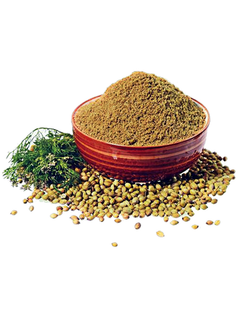 CORIANDER POWDER