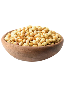 CORIANDER SEEDS SPICES - G-Spice