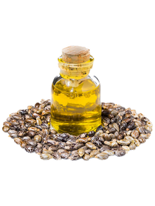 CASTOR OIL g-spice