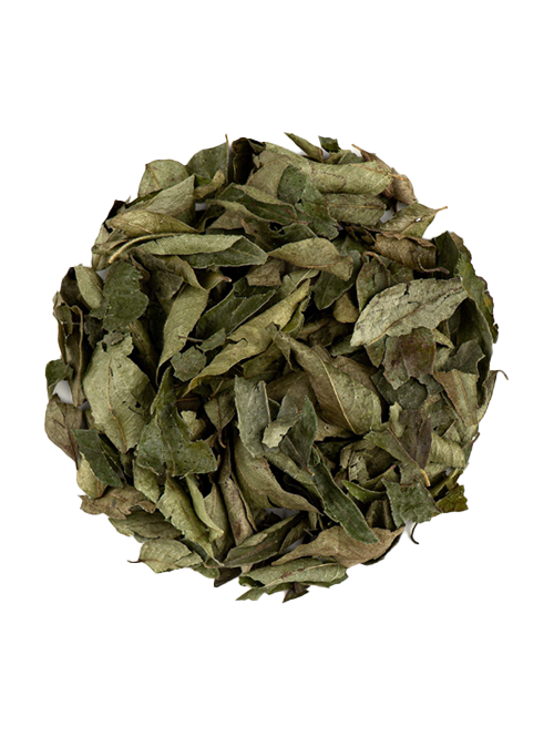 CURRY LEAVES (DRY)