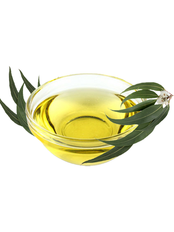 EUCALYPTUS OIL