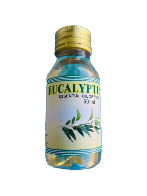 EUCALYPTUS OIL OILS - G-Spice