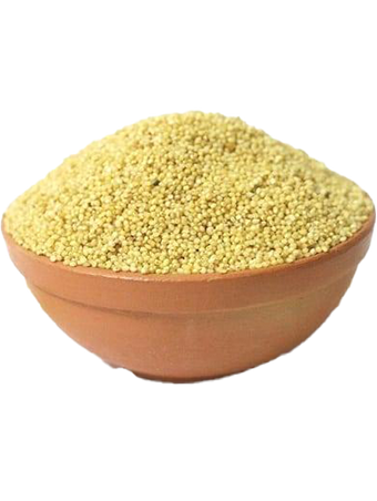 FOXTAIL MILLET