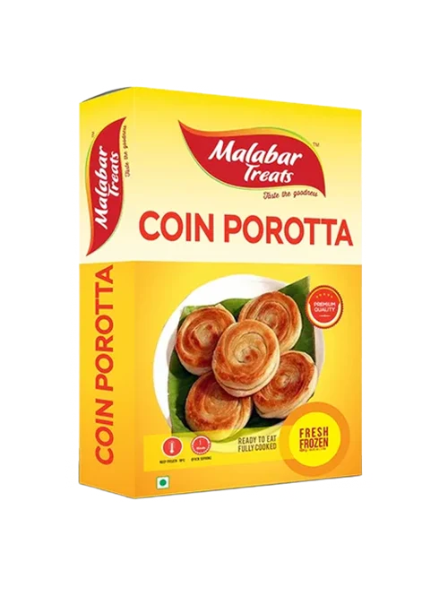 FROZEN COIN PARATHA