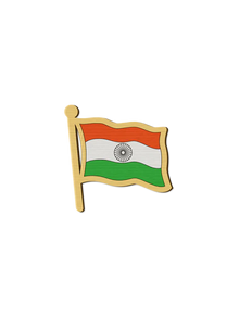 INDIAN FLAG PIN