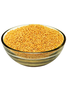 MUSTARD SEEDS YELLOW SPICES - G-Spice