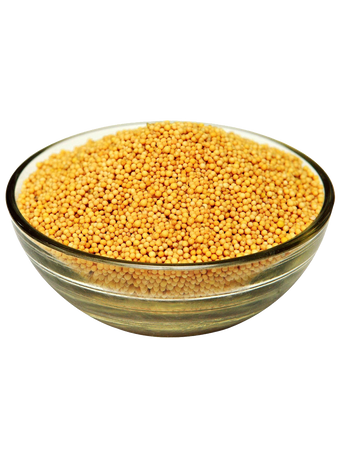 MUSTARD SEEDS YELLOW