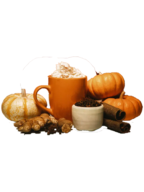 PUMPKIN G-SPICE g-spice