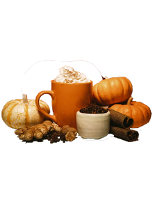 PUMPKIN G-SPICE g-spice