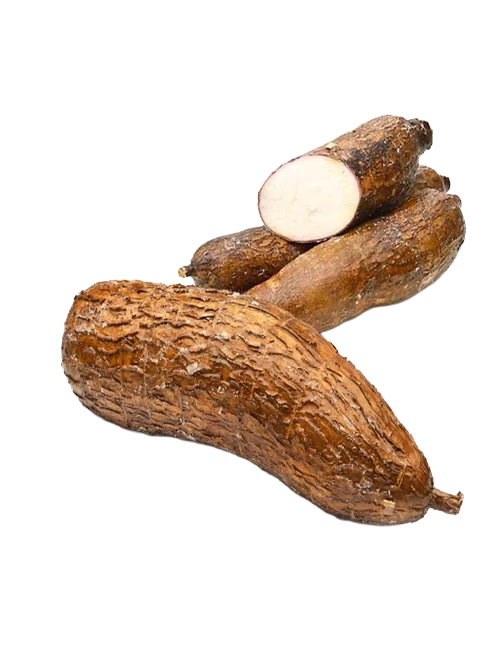 FRESH TAPIOCA (YUCA)