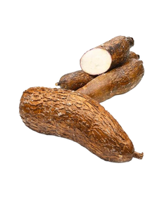 FRESH TAPIOCA (YUCA)