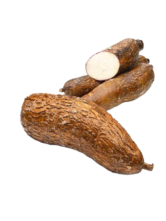 FRESH TAPIOCA (YUCA)
