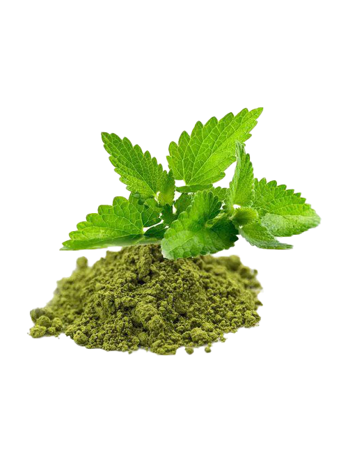 TULSI POWDER