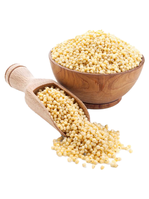 WHITE SORGHUM MILLET MILLETS - G-Spice