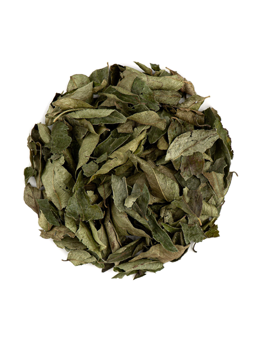 CURRY LEAVES (DRY) HERBS - G-Spice