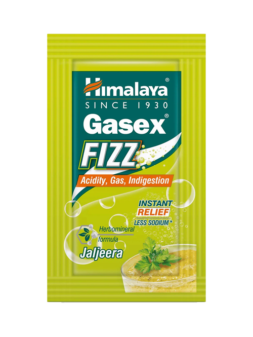 GASEX FIZZ(ACIDITY RELIEF) - G-Spice Mexico