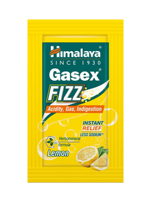 GASEX FIZZ(ACIDITY RELIEF) - G-Spice Mexico