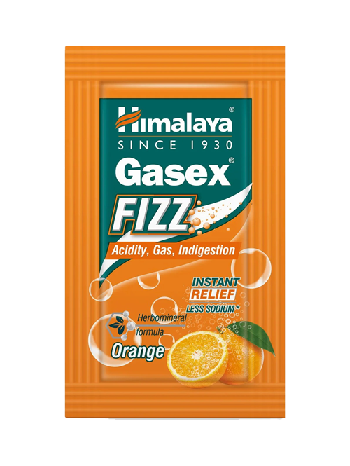 GASEX FIZZ(ACIDITY RELIEF) - G-Spice Mexico