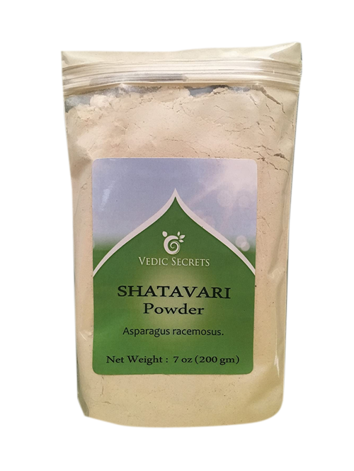 SHATAVARI POWDER AYURVEDA - G-Spice